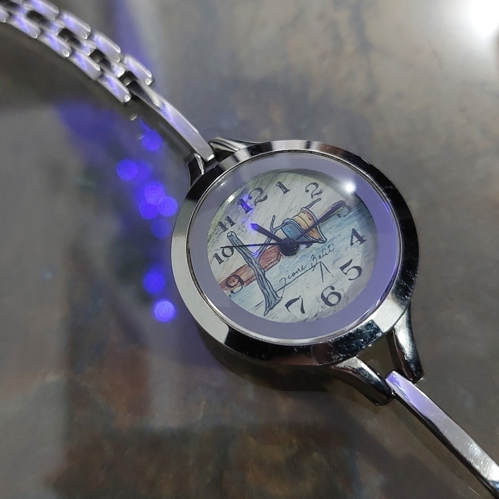 Diane Balit Hand Painted Japan Movt Womens Wristwatch